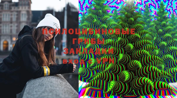 бошки Алексин
