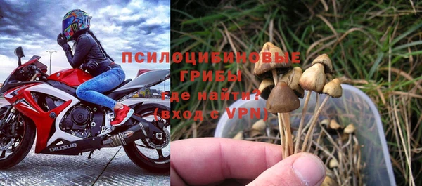 герыч Алзамай