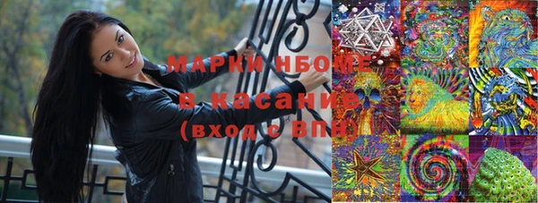 бошки Алексин
