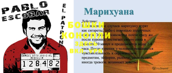 бошки Алексин