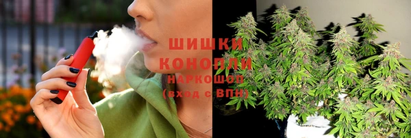бошки Алексин