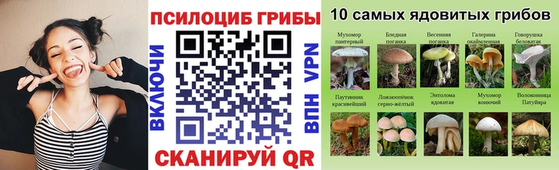 Галлюциногенные грибы мицелий  МЕГА зеркало  shop наркотические препараты  Островной 